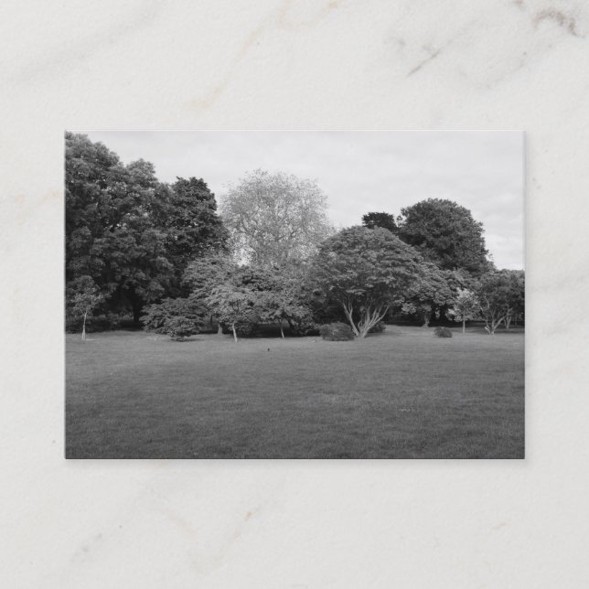 Carte De Visite Paysage du parc (Devant)