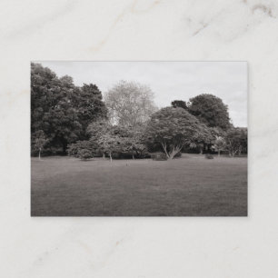 Carte De Visite Paysage du parc (BW tonique chaud)