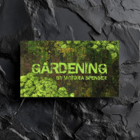 Paysage Jardinage Garde de pelouse Nature Architec