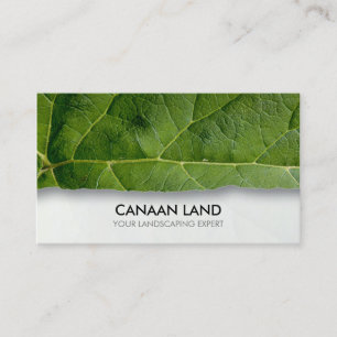 Carte De Visite Paysagiste Aménageur Paysagiste Jardinier