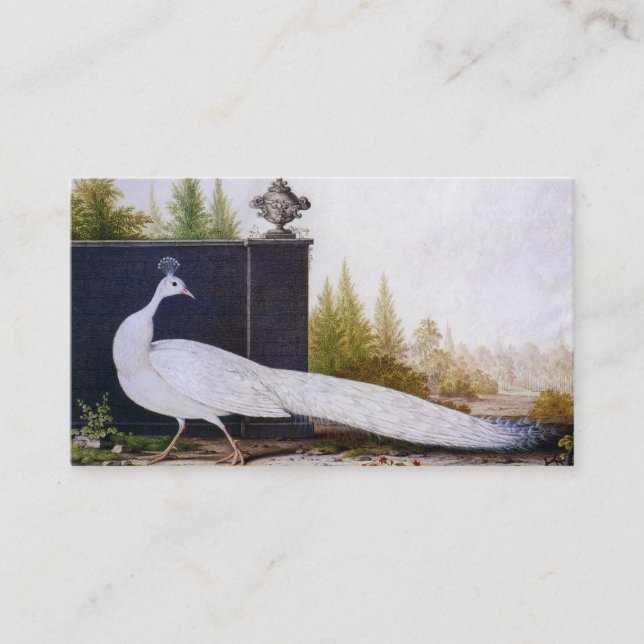 Carte De Visite Peacock blanc (Devant)