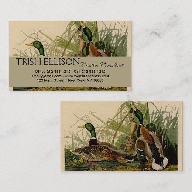 Carte De Visite Peinture d'oiseaux de Mallard Duck Audubon (Devant / Derrière)