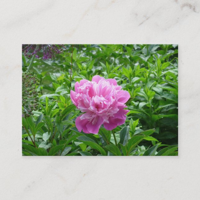 Carte De Visite Peony rose (Devant)