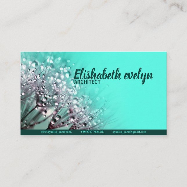 Carte De Visite pépins de rosée (Devant)