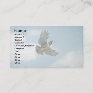 Carte De Visite Perdrix de Chukar en vol