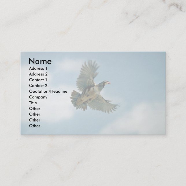 Carte De Visite Perdrix de Chukar en vol (Devant)
