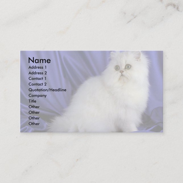 Carte De Visite Perse, chinchilla (Devant)