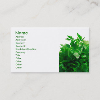 Carte De Visite Persil
