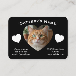 Carte de visite personnalisable noire pour chatter
