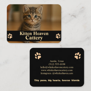 Carte de visite personnalisable pour chatterie