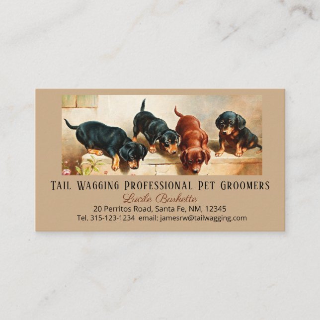 Carte De Visite Personnalisé Adorable Cute Dachshund Puppy Pet Gro (Devant)