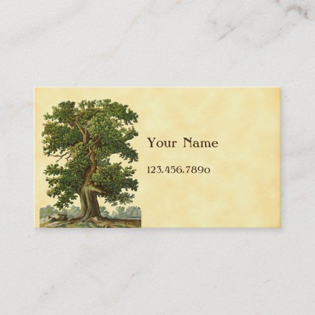 Carte de visite personnalisé vintage Oak Tree (Devant)