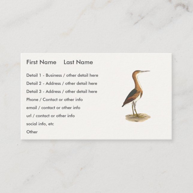 Carte De Visite Petit Bittern (Ixobrychus exilis) Oiseaux de New Y (Devant)