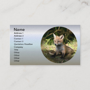 Carte De Visite Petit Cub