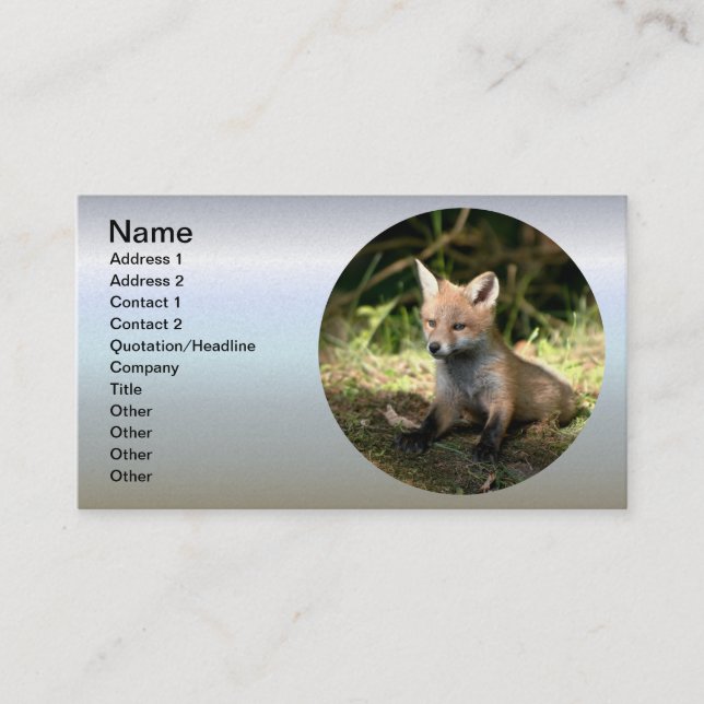 Carte De Visite Petit Cub (Devant)