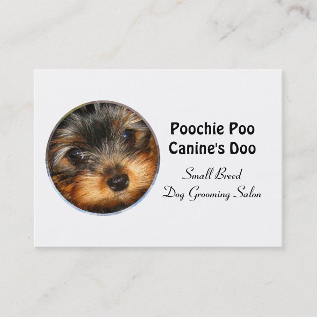 Carte De Visite Petit éleveur de chiens de race Professional 3,5 p (Devant)