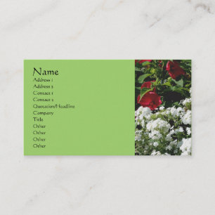 Carte De Visite Phlox Hibiscus Fleur Jardin Nature