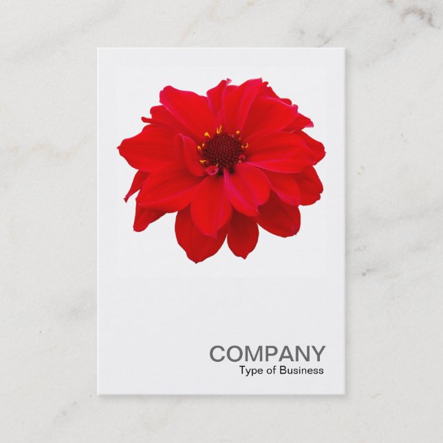 Carte De Visite Photo carré 0160 - Dahlia, évêque de Llandaff (Devant)