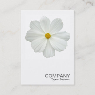 Carte De Visite Photo carré 0161 - Fleur de cosmos blanc