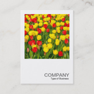 Carte De Visite Photo carré 0219 - Tulips