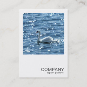 Carte De Visite Photo carré 0242 - Swan