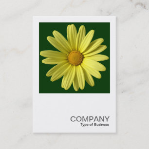Carte De Visite Photo carré 0249 - Jaune Daisy