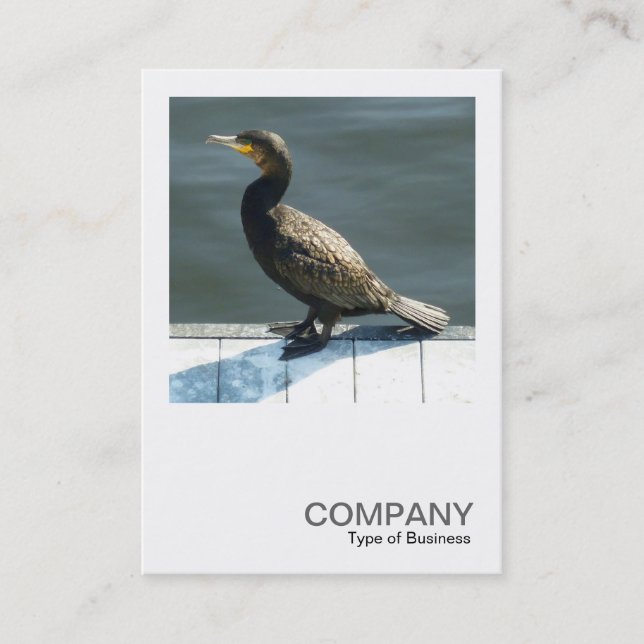 Carte De Visite Photo carré 0250 - Cormorant (Devant)