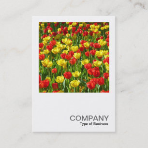 Carte De Visite Photo carré 0320 - Mer des Tulipes III
