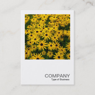 Carte De Visite Photo carré 0338 - Susans aux yeux noirs (Rudbecki