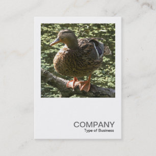 Carte De Visite Photo carré 0351 - Happy Duck