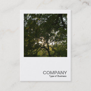 Carte De Visite Photo carré 0375 - Branches japonaises