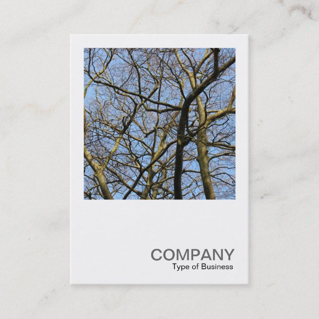 Carte De Visite Photo carré 0384 - Branches (Devant)