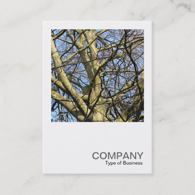 Carte De Visite Photo carré 0386 - Branches (Devant)