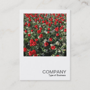 Carte De Visite Photo carré 0399 - Tulipes rouges et Primroses