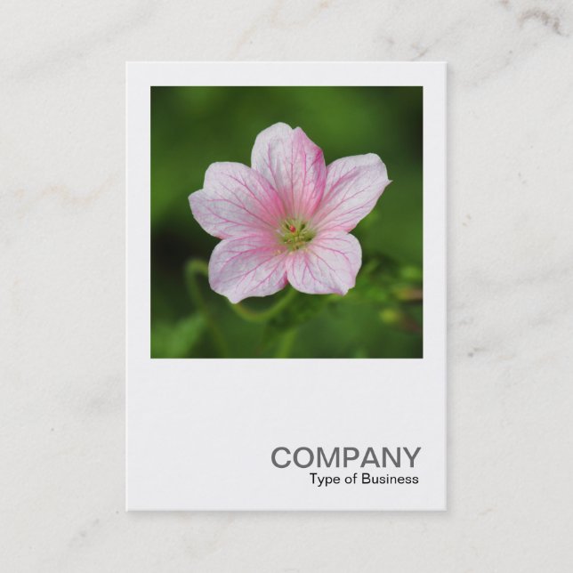 Carte De Visite Photo carré 0419 - Géranium (Devant)