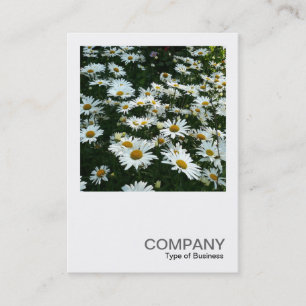 Carte De Visite Photo carré 042 - Daisies
