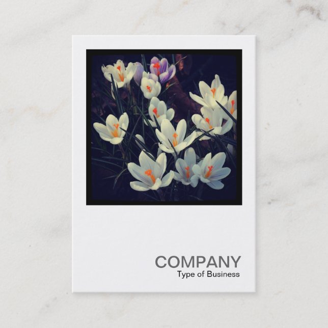 Carte De Visite Photo carré 0432 - Crocus (Devant)