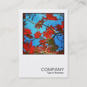 Carte De Visite Photo carré 0435 - Feuilles rouges