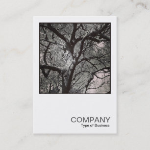 Carte De Visite Photo carré 0458 - Arbre de Magnolia