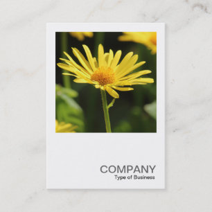 Carte De Visite Photo carré 0542 - Jaune Daisy