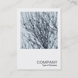 Carte De Visite Photo carré 0563 - Épouses dans un arbre