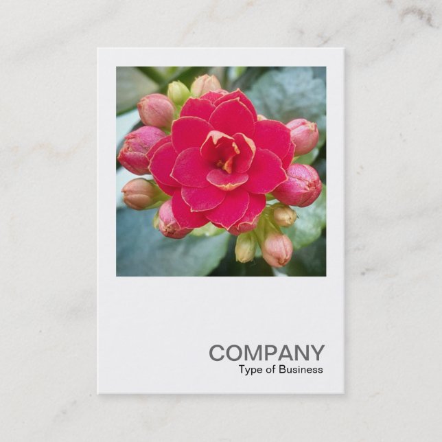 Carte De Visite Photo carré 0595 - Kalanchoe (Devant)