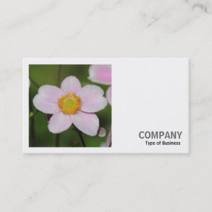 Carte De Visite Photo carré (v2) - Anémone rose