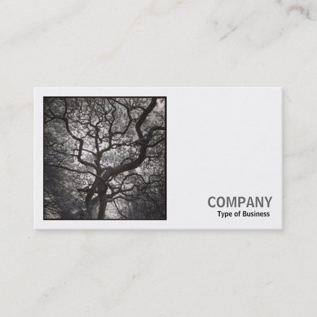 Carte De Visite Photo carré (v2) - Arbre de Magnolia en fleurs 03 (Devant)