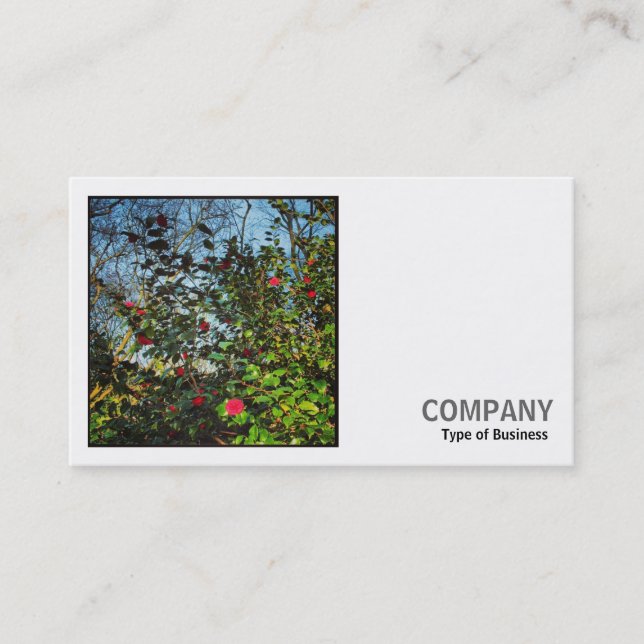 Carte De Visite Photo carré (v2) - Camellia Bush (Devant)