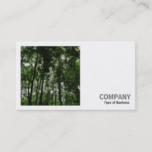 Carte De Visite Photo carré (v2) - Canopée forestière 02