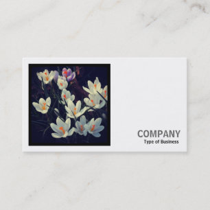 Carte De Visite Photo carré (v2) - Crocus