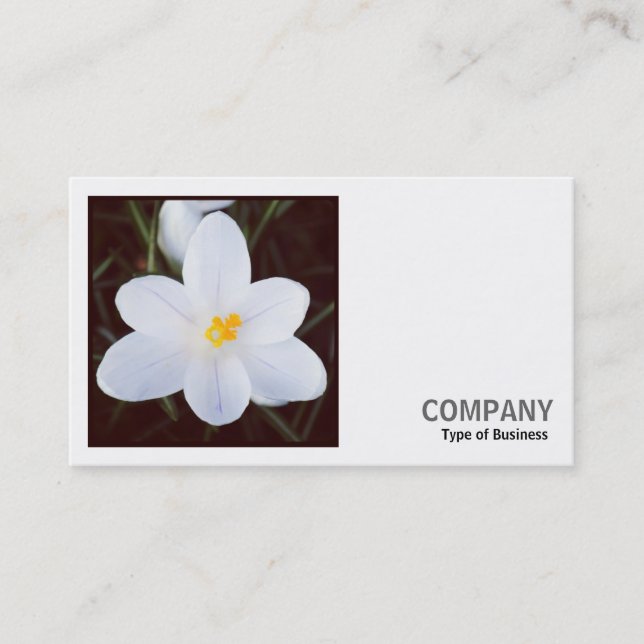Carte De Visite Photo carré (v2) - Crocus blanc (Devant)