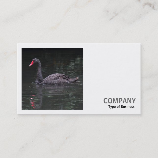 Carte De Visite Photo carré (v2) - Cygne noir (Devant)