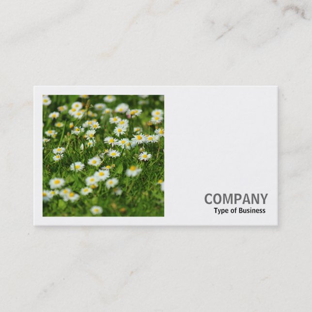 Carte De Visite Photo carré (v2) - Daisy Meadow (Devant)